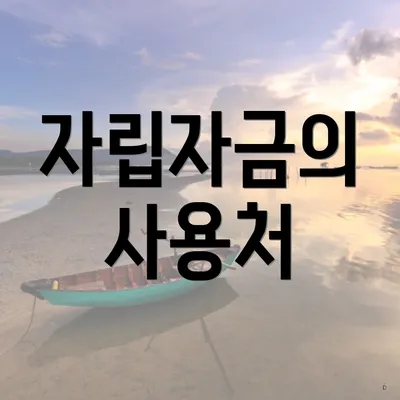 자립자금의 사용처
