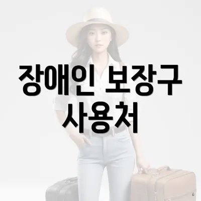 장애인 보장구 사용처
