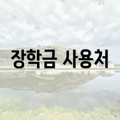 장학금 사용처