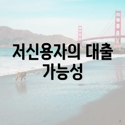 저신용자의 대출 가능성