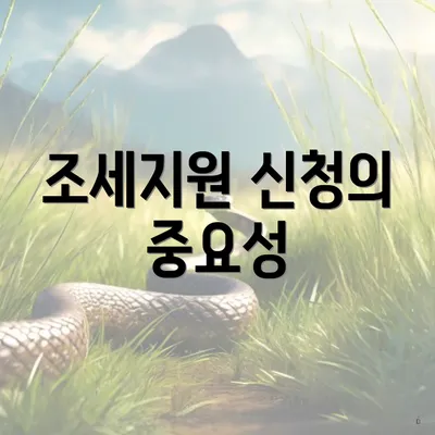 조세지원 신청의 중요성