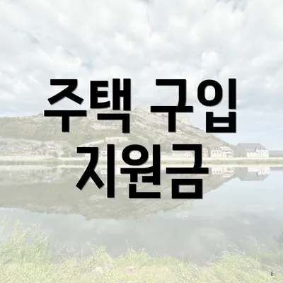 주택 구입 지원금