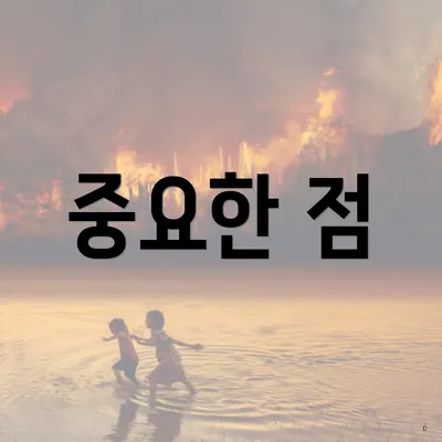 중요한 점