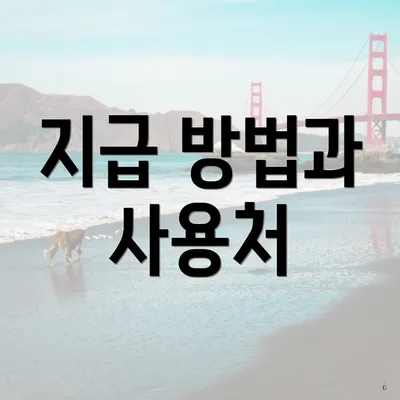 지급 방법과 사용처