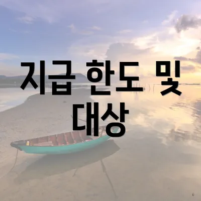 지급 한도 및 대상