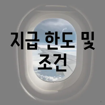 지급 한도 및 조건