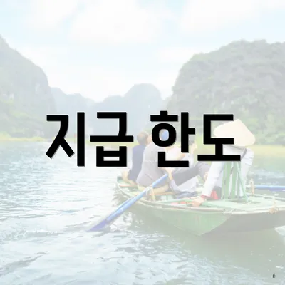 지급 한도