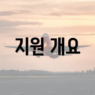 지원 개요