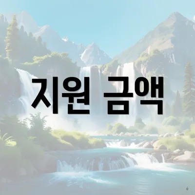 지원 금액