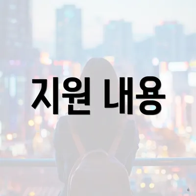 지원 내용