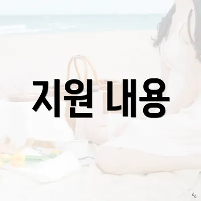 지원 내용