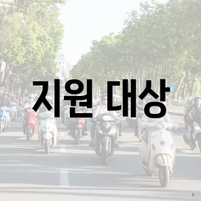 지원 대상