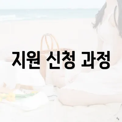 지원 신청 과정