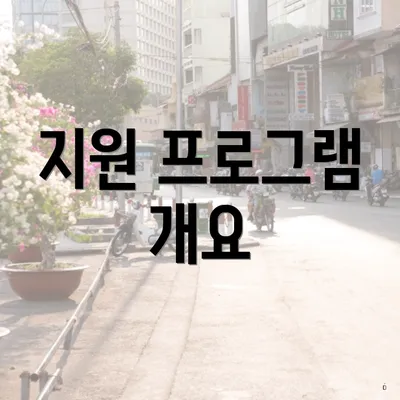 지원 프로그램 개요