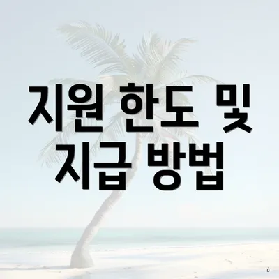 지원 한도 및 지급 방법