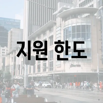 지원 한도