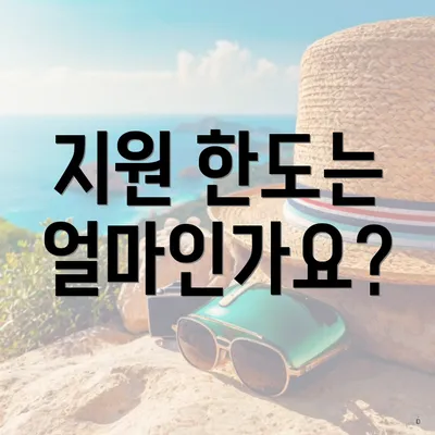 지원 한도는 얼마인가요?