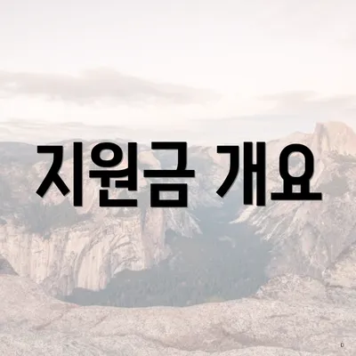 지원금 개요