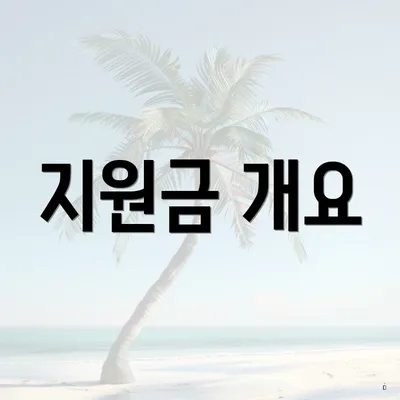 지원금 개요