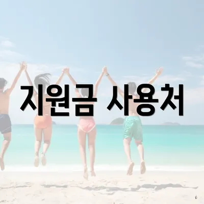 지원금 사용처