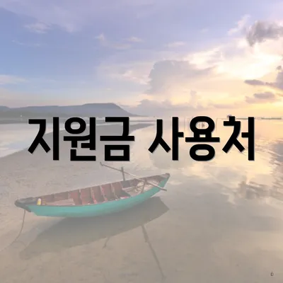 지원금 사용처