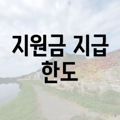 지원금 지급 한도
