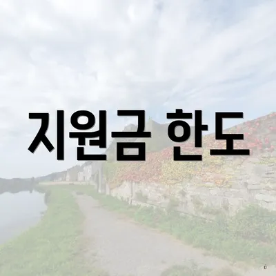 지원금 한도