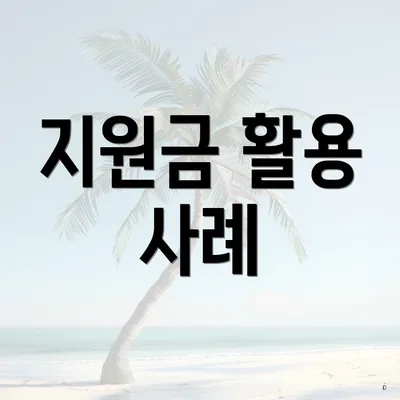 지원금 활용 사례
