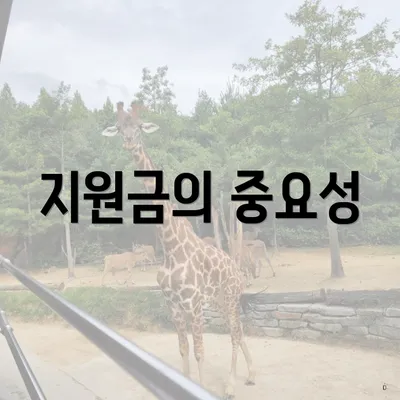 지원금의 중요성