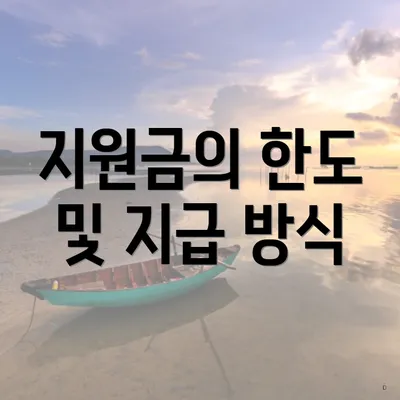 지원금의 한도 및 지급 방식