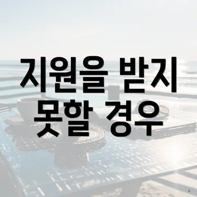 지원을 받지 못할 경우