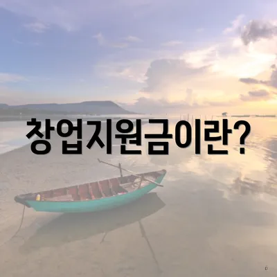 창업지원금이란?