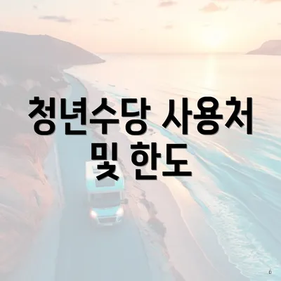 청년수당 사용처 및 한도