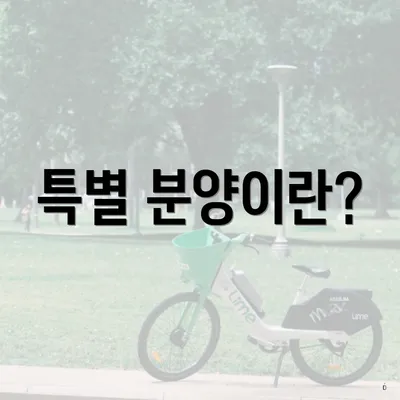 특별 분양이란?