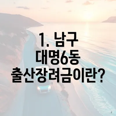 1. 남구 대명6동 출산장려금이란?