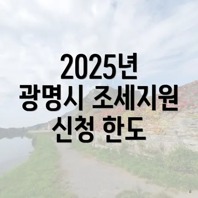 2025년 광명시 조세지원 신청 한도