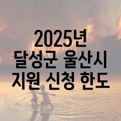 2025년 달성군 울산시 지원 신청 한도