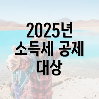 2025년 소득세 공제 대상