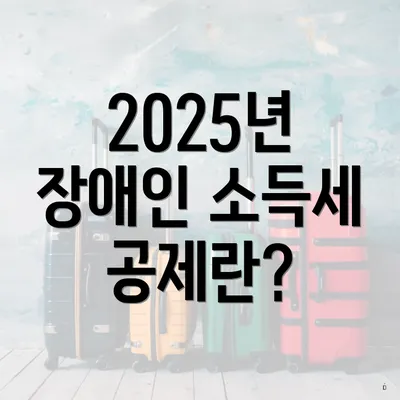 2025년 장애인 소득세 공제란?
