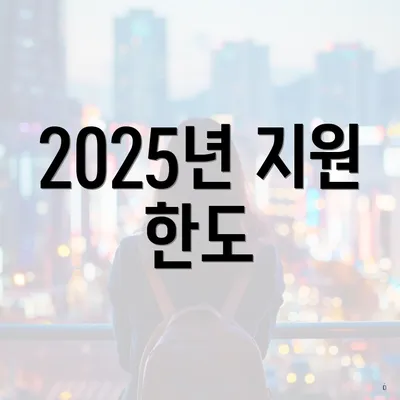2025년 지원 한도