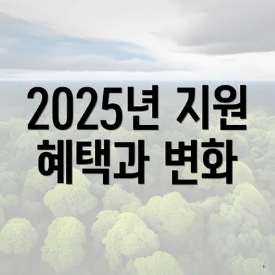 2025년 지원 혜택과 변화