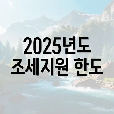 2025년도 조세지원 한도
