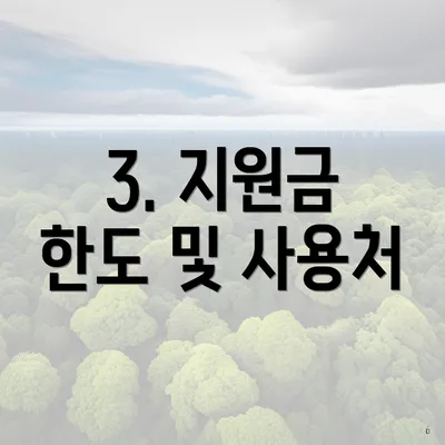 3. 지원금 한도 및 사용처