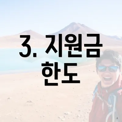 3. 지원금 한도