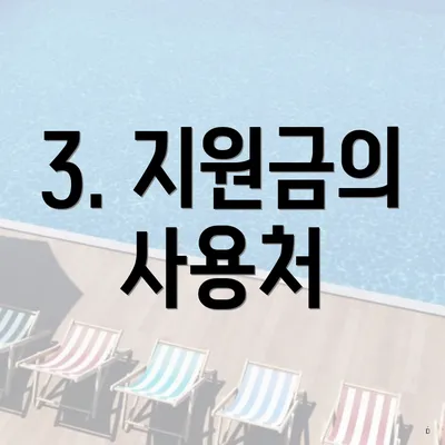 3. 지원금의 사용처