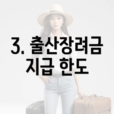 3. 출산장려금 지급 한도