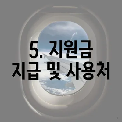 5. 지원금 지급 및 사용처