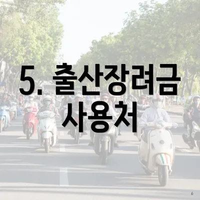 5. 출산장려금 사용처