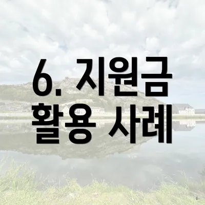 6. 지원금 활용 사례