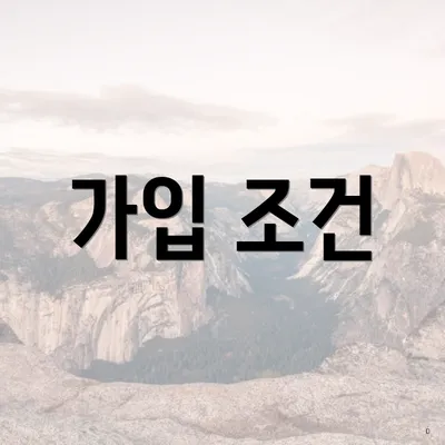 가입 조건